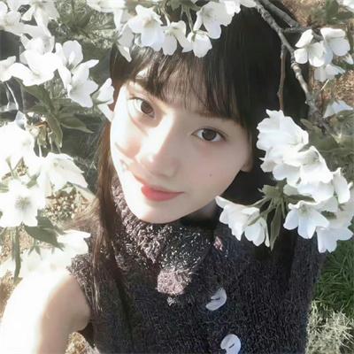 铳皇无尽的法夫纳